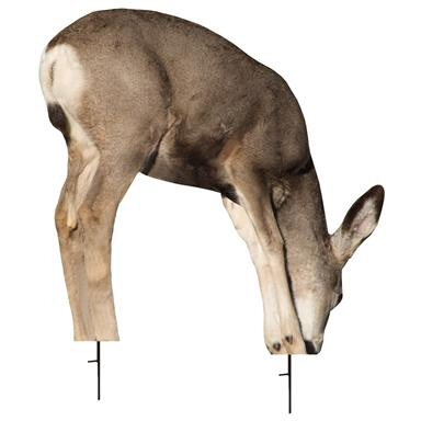 Electronic Decoys